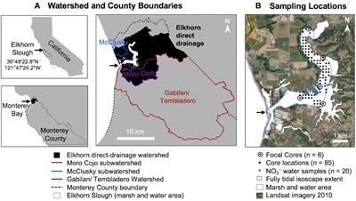 Use of historical isoscapes to develop an estuarine nutrient baseline